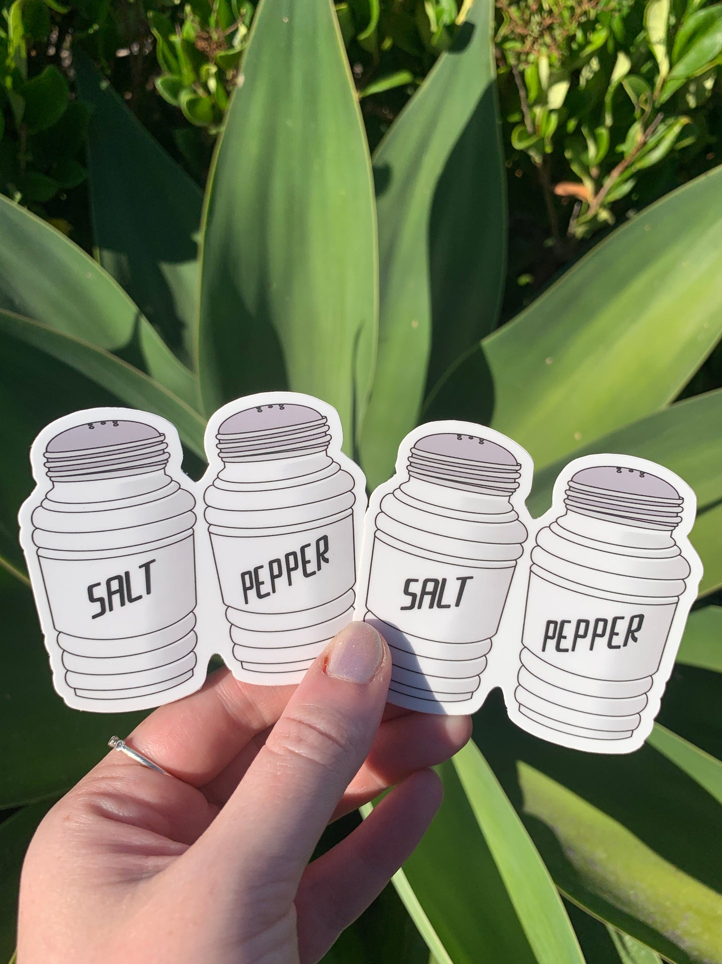 Vintage Salt and Pepper Set Sticker/Magnet