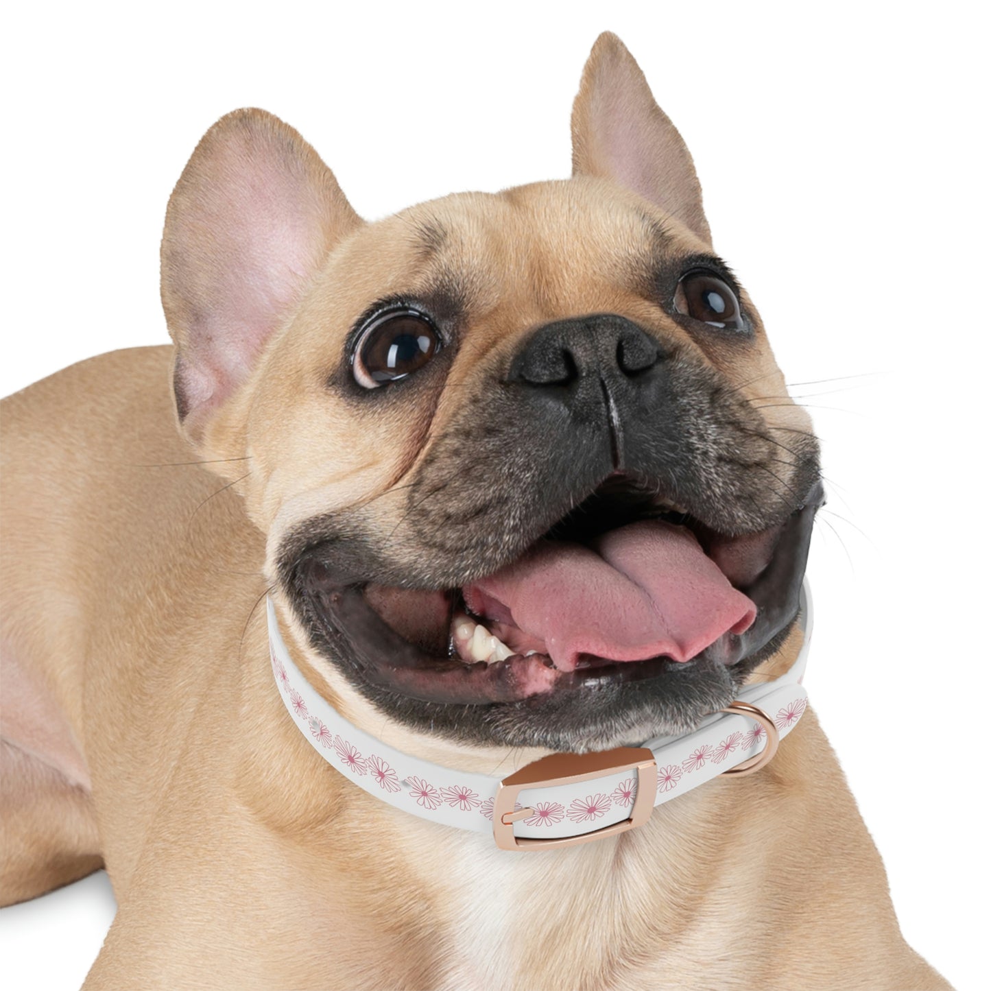 Vintage Pyrex Pink Daisy Dog Collar