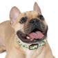 Vintage Pyrex Green Crazy Daisy Dog Collar