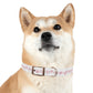 Vintage Pyrex Pink Daisy Dog Collar