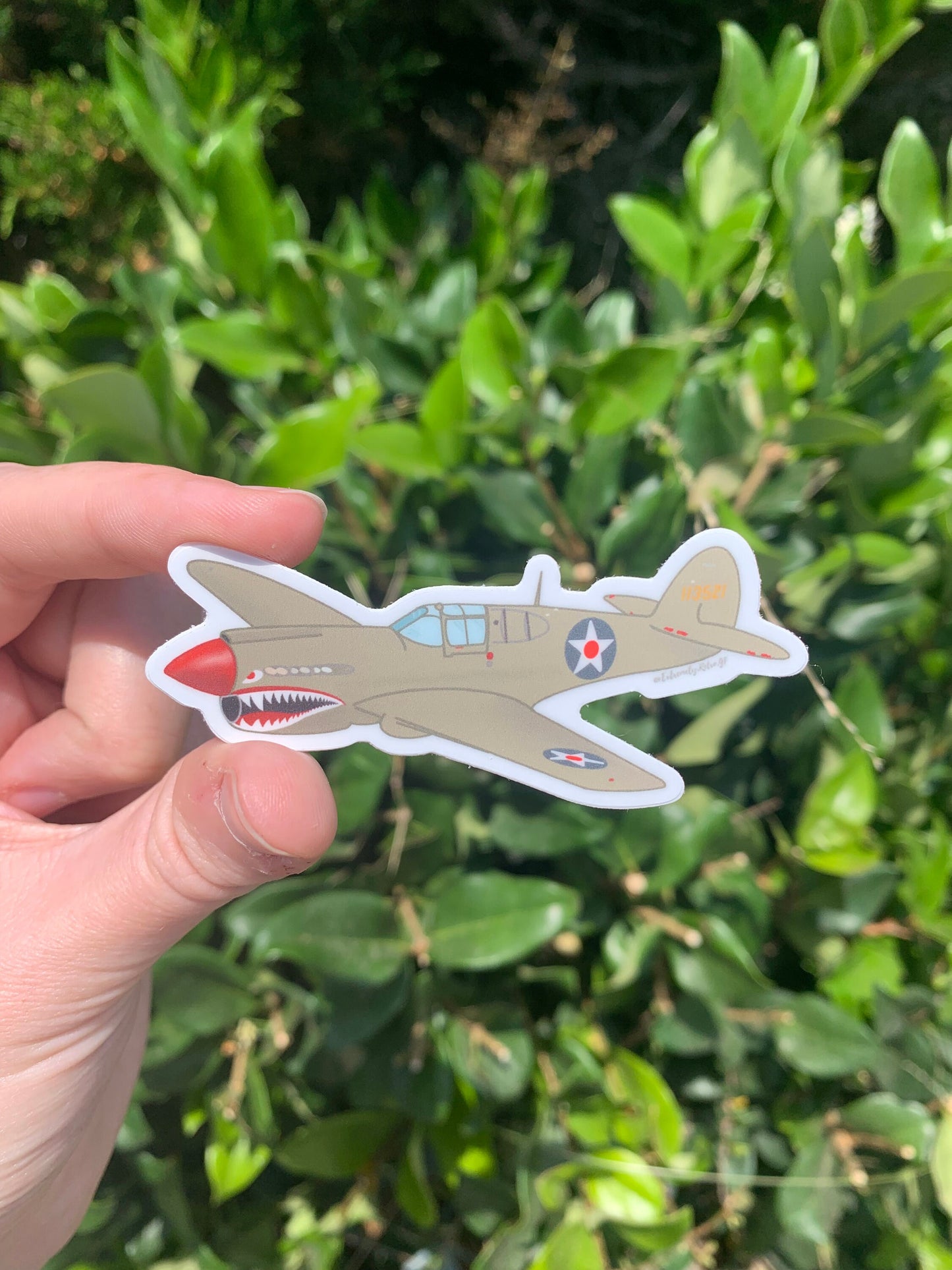 WWII P40 Warhawk Flying Tigers Sticker/Magnet